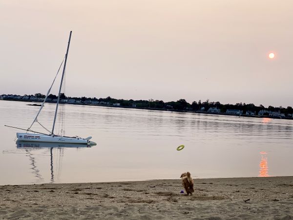 IMG_4551.jpeg