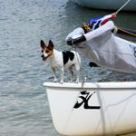 Juana-Good-Time-2014-038.jpg