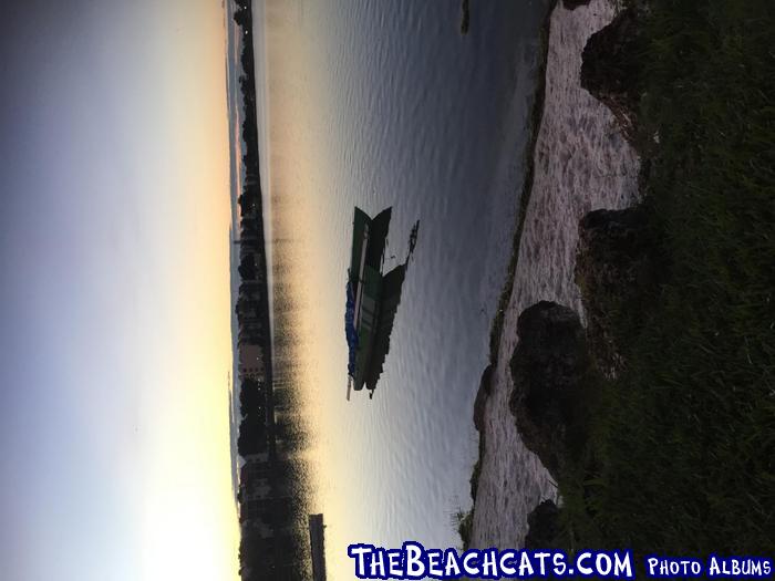 cat afloat