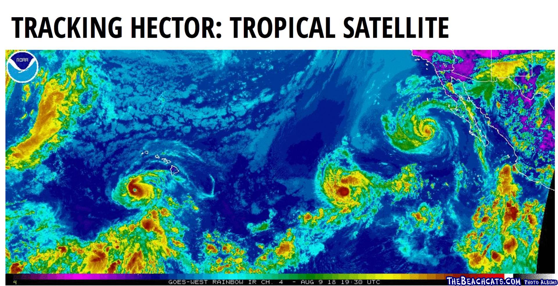 tracking Hector and others