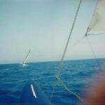 SPRING 2004