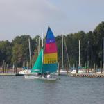 Dscn2529