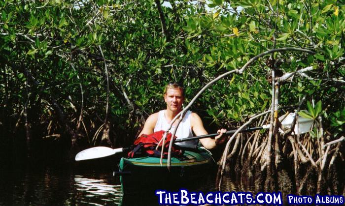 Mangroves
