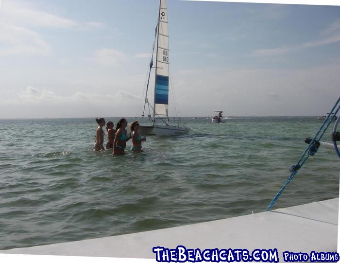 CRAB ISLAND 1