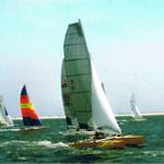 hornisland07race2start