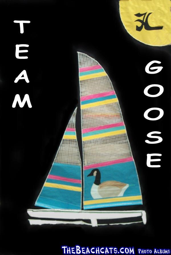 Team Goose Banner