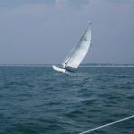 2007-09-01_Sail (86)