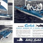 Catfish Flyer p2