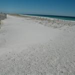 pensacola-2008-feb 003.jpg