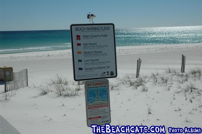 pensacola-2008-feb 004.jpg