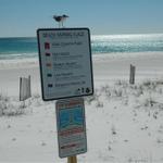 pensacola-2008-feb 005.jpg