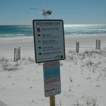 pensacola-2008-feb 006.jpg