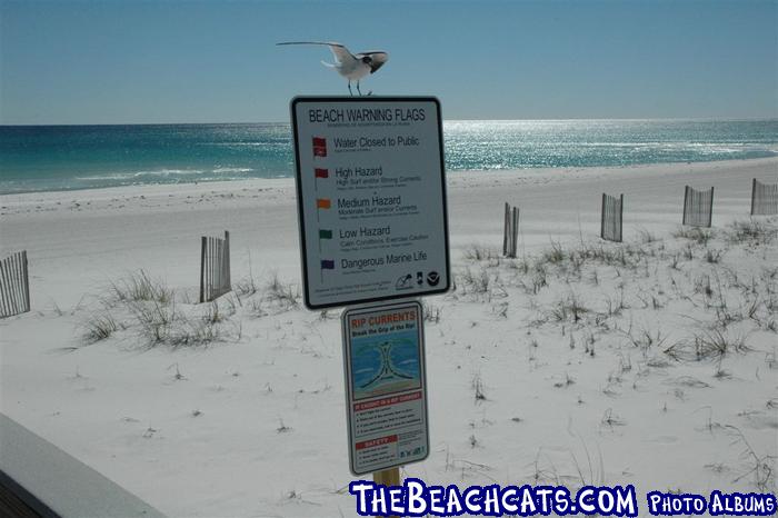 pensacola-2008-feb 006.jpg