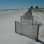 pensacola-2008-feb 007.jpg