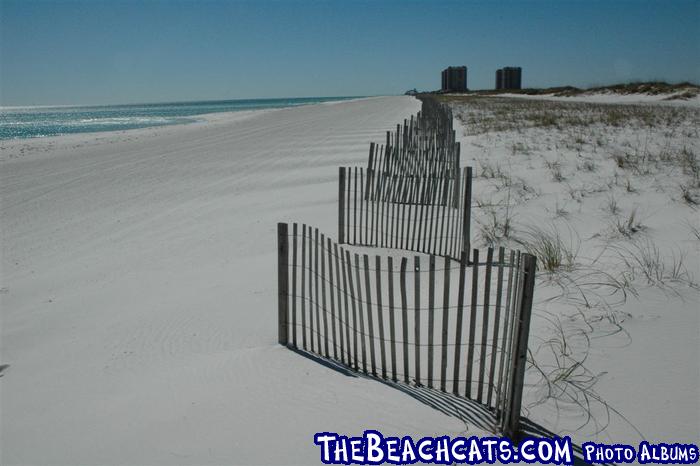 pensacola-2008-feb 007.jpg