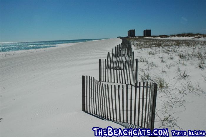 pensacola-2008-feb 008.jpg