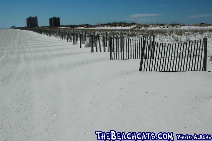 pensacola-2008-feb 009.jpg