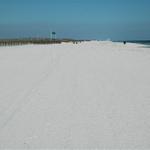 pensacola-2008-feb 012.jpg