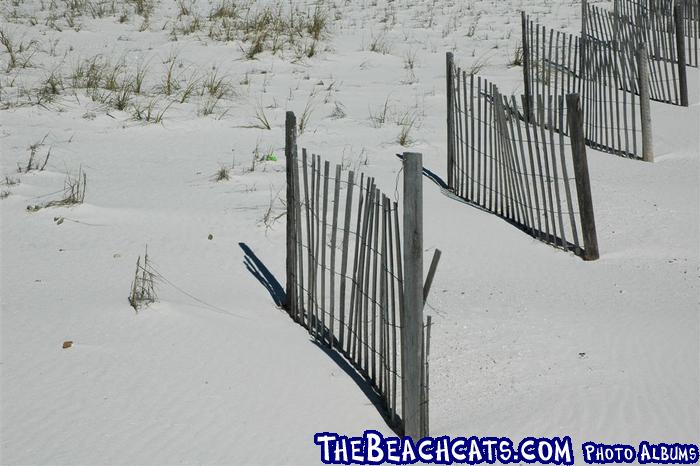 pensacola-2008-feb 014.jpg