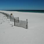 pensacola-2008-feb 015.jpg