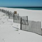 pensacola-2008-feb 016.jpg