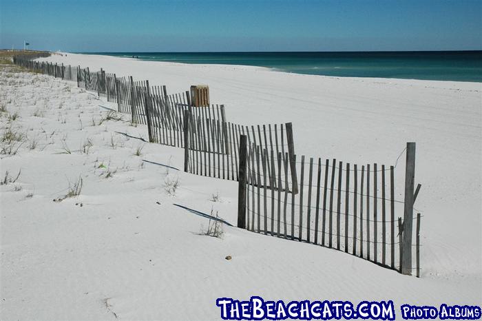 pensacola-2008-feb 016.jpg