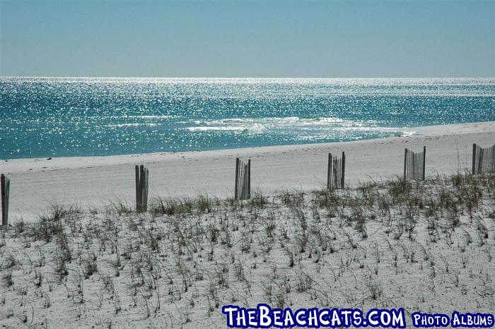 pensacola-2008-feb 017.jpg