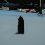 pme-2008-d1-359.jpg