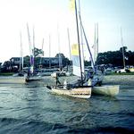 Back from Horn Island