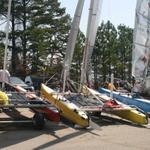 IMG_3520.JPG