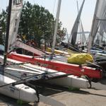 IMG_3521.JPG