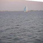 2008 Round the Island 1-05
