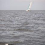 2008 Round the Island 1-09