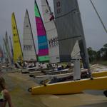 Beachcats at Horn Island