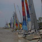 Horn Island