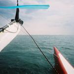 Open Water 