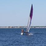 2008 FLEET 178 Leeside Park 3-10