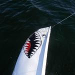 2008 FLEET 178 Leeside Park 3-18
