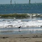 IMG_6098.jpg