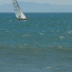 IMG_6125.jpg