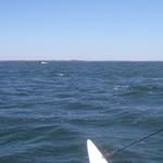 2009 HOBIE Midwinters EAST 129