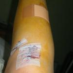 IMG_6212.jpg