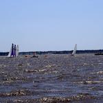 Hobie 20 Start