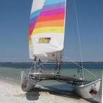 1973 HOBIE 16 SHARKs Teeth