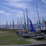 IMGP0415.jpg