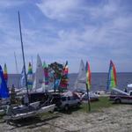 IMGP0416.jpg