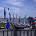 IMGP0417.jpg