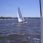 IMGP0425.jpg