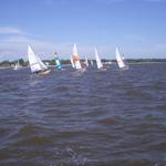 IMGP0433.jpg