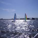 IMGP0449.jpg